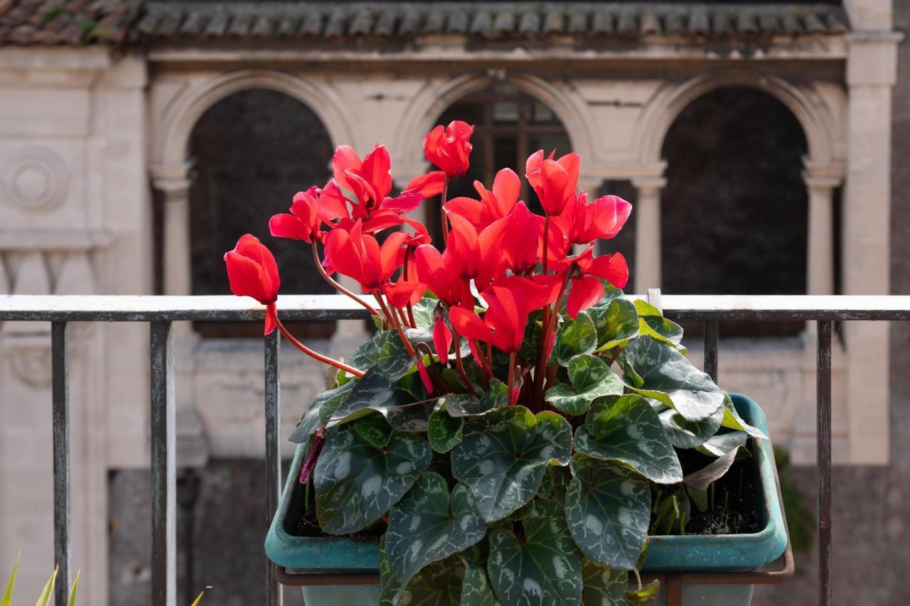 Terrazza Santa Chiara Bed & Breakfast CTA Exterior foto